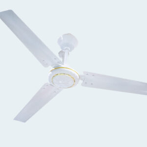 ACDC Ceiling Fan